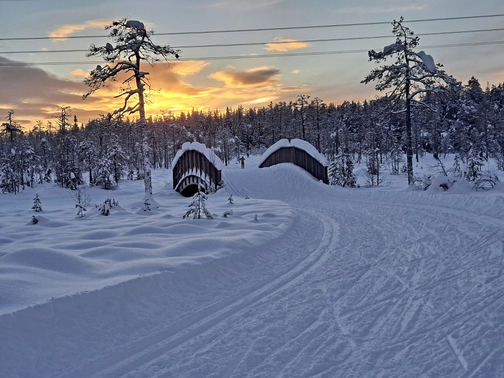 Ved Kubrua