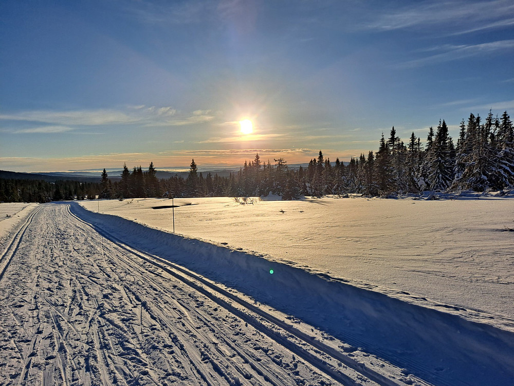 Mellom Trondsmyra og Nevelosen