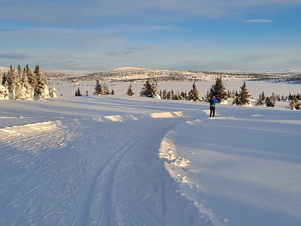 Ser over Reinsvatnet mot Kriksfjell