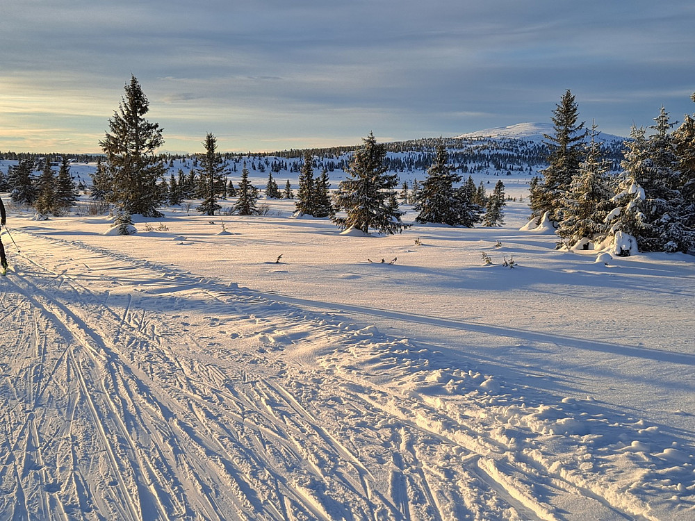 Mot Nevelfjell