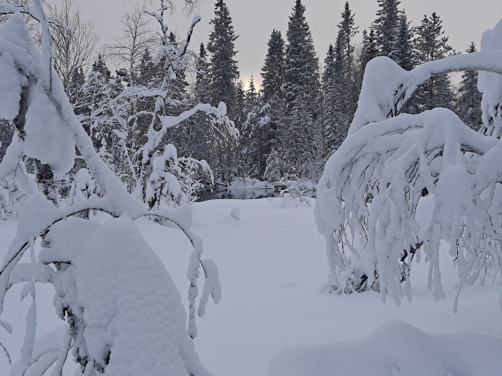 Ved Øvre Køyta