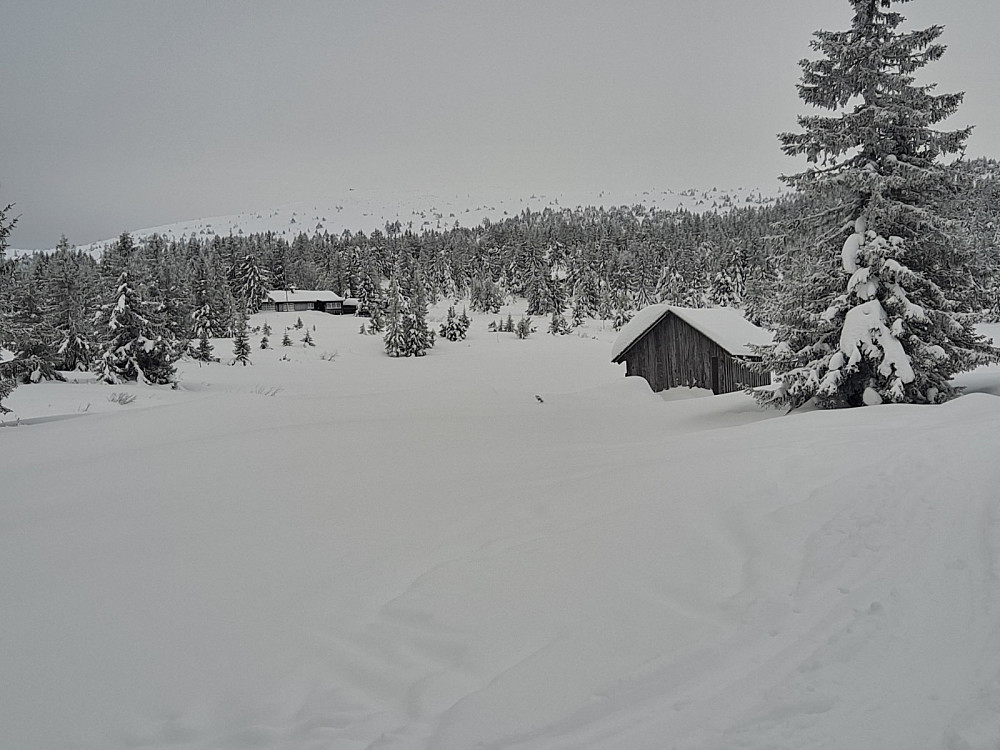 Ved Nevelosen