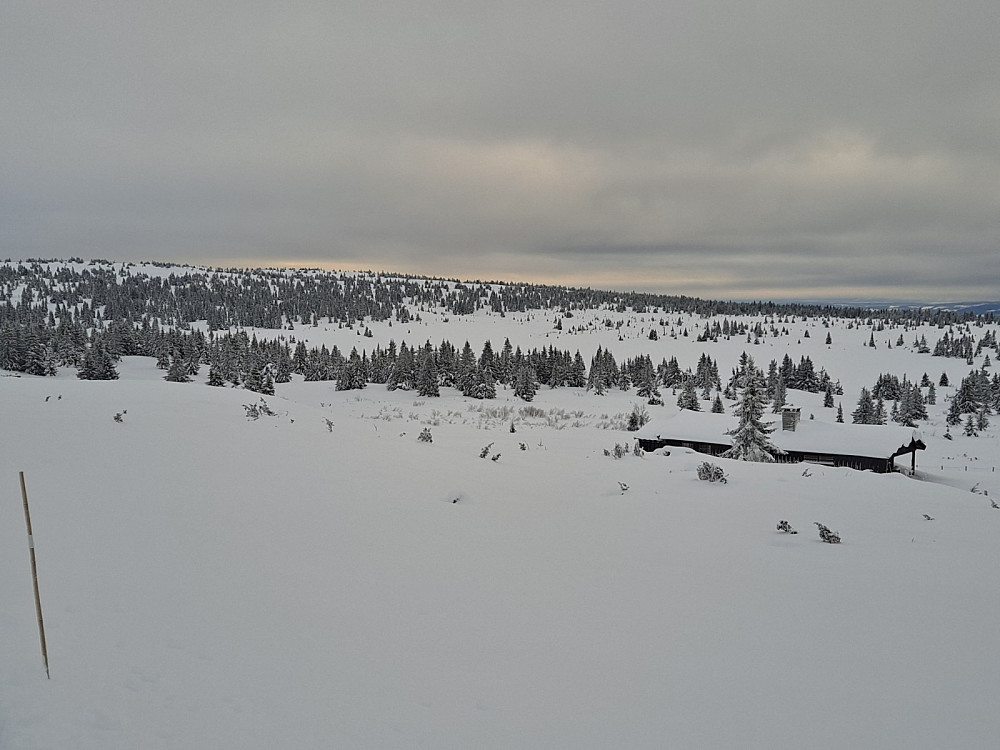 I løypa ved Løvisåsen