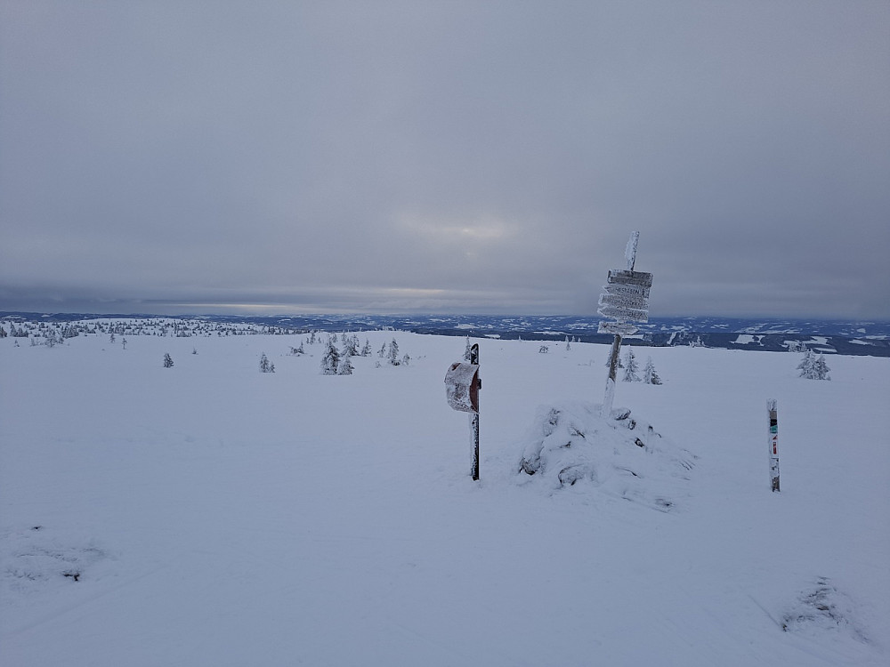 På Lunkefjell