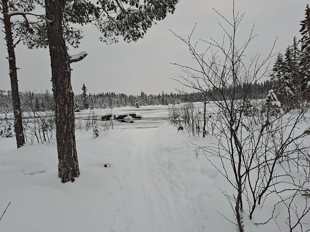Ved Botillflø