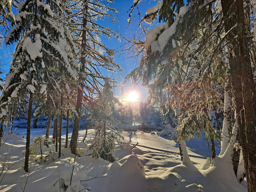 Ved Birkebeinerløypa