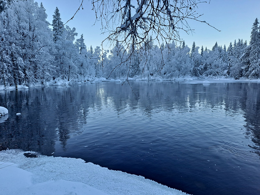 Ved Mesnasaga