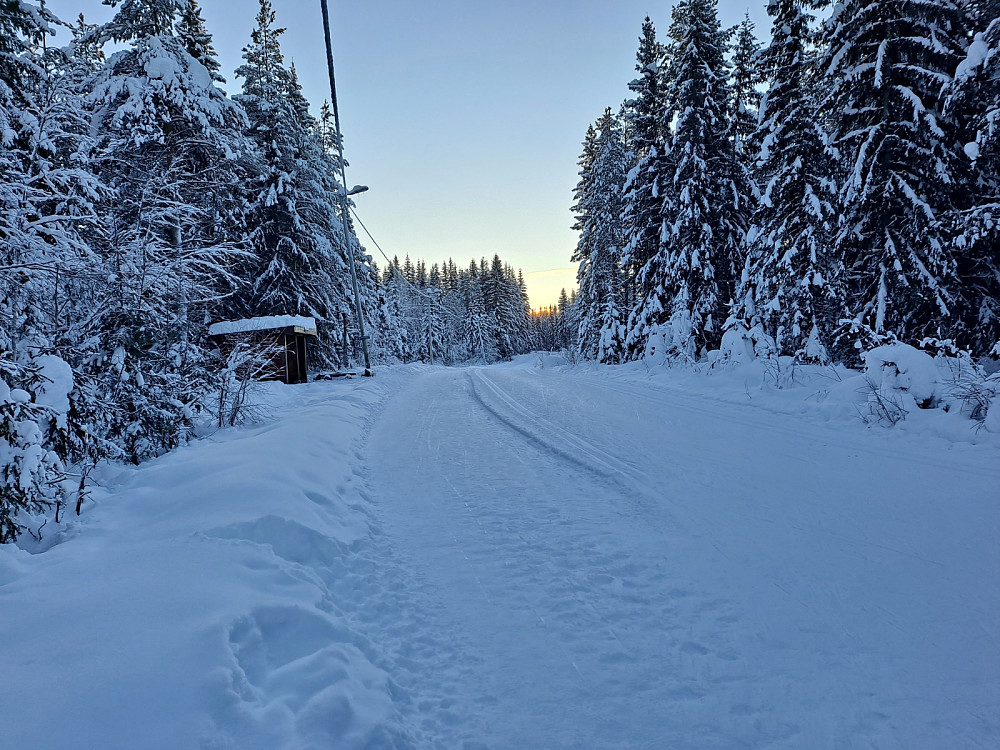 Ved Hammerkoia