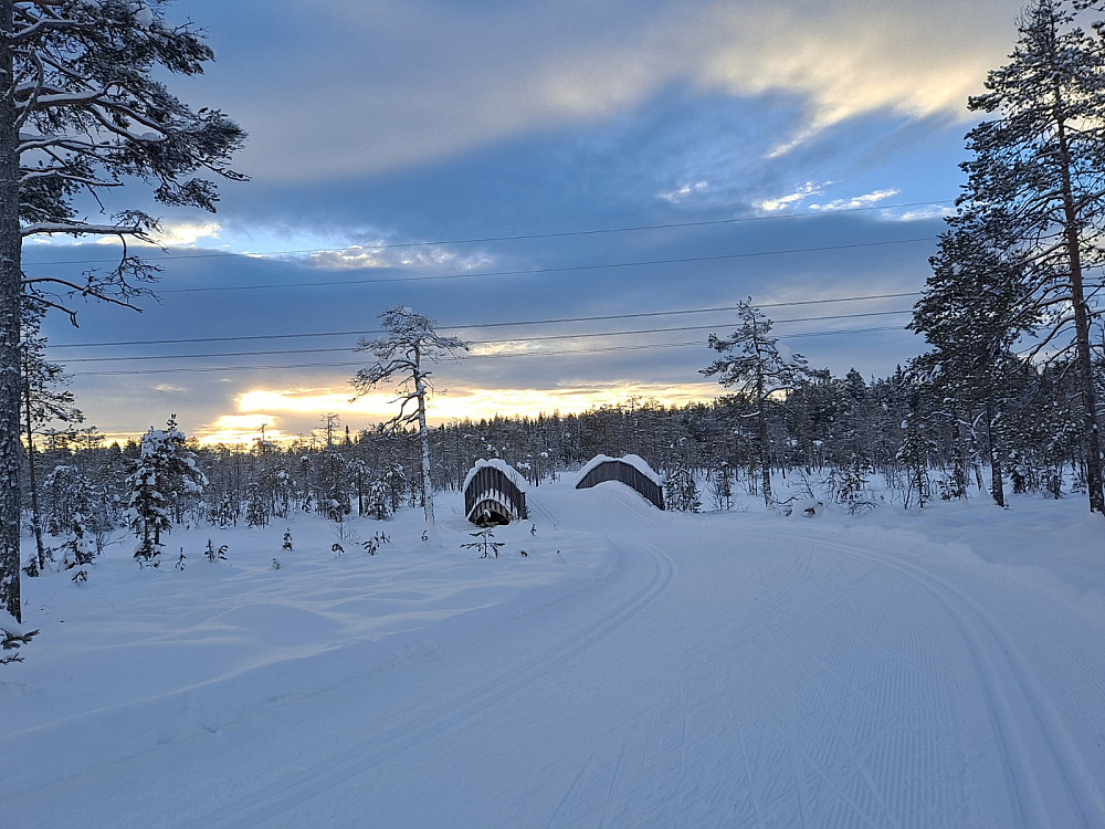 Ved Kubrua