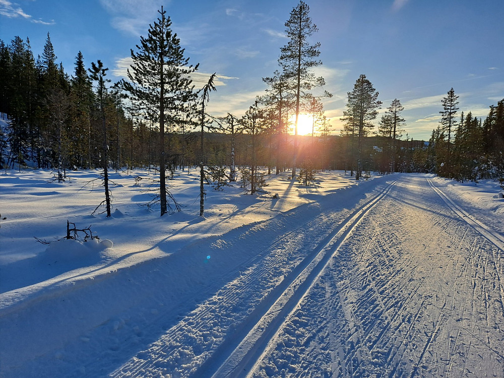 Mellom Mesnasaga og Sagmyra