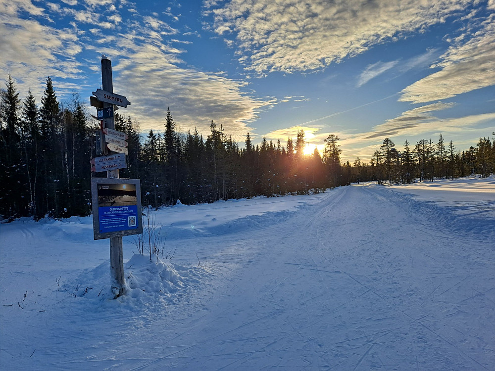 Ved løypekrysset på Sagmyra