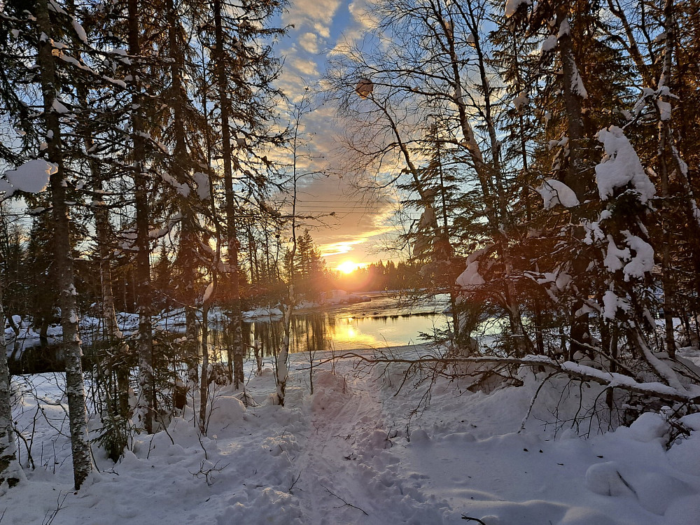 Ved Birkebeinerløypa