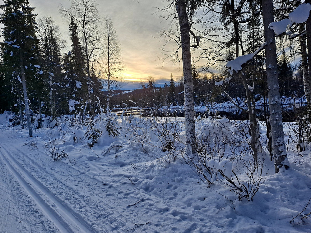 Ved Birkebeinerløypa
