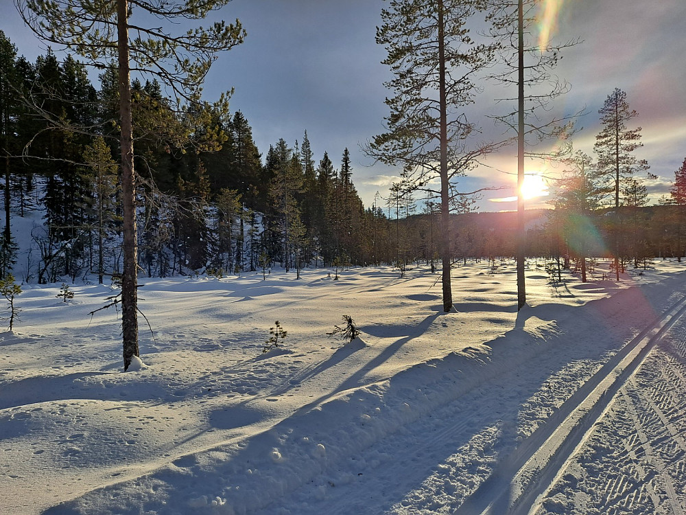 Mellom Mesnasaga og Sagmyra