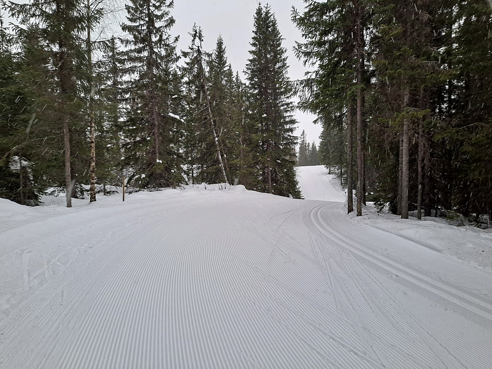 På Kanthaugen