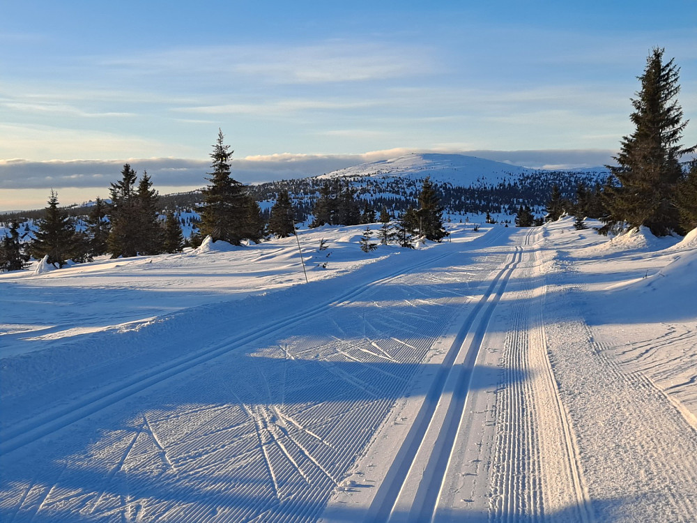 Ned mot Reinavegen, ser mot Nevelfjell