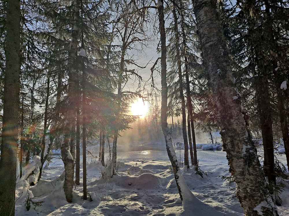 Ved Birkebeinerløypa