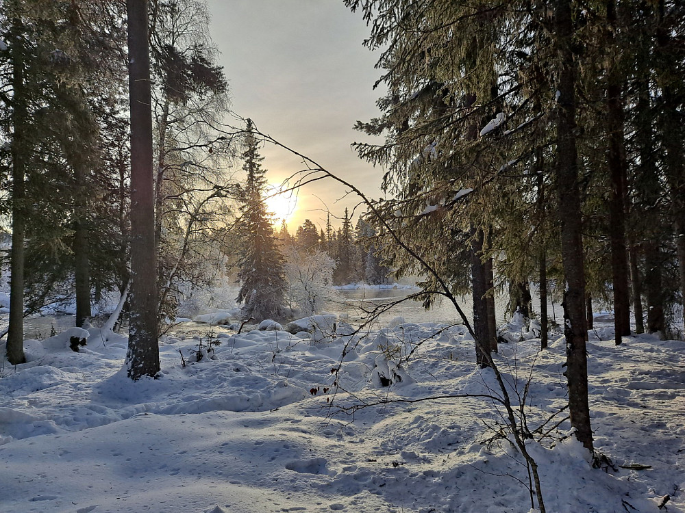Ved Nedre Køyta