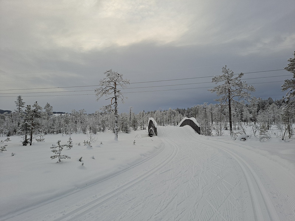 Ved Kubrua