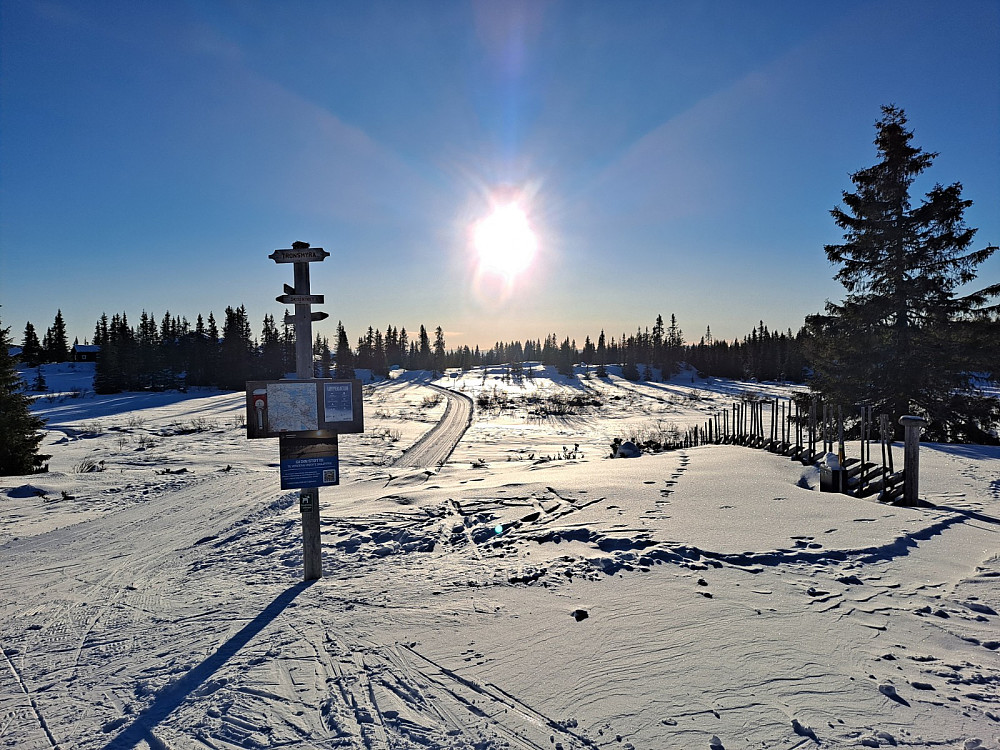Ved Trondsmyra