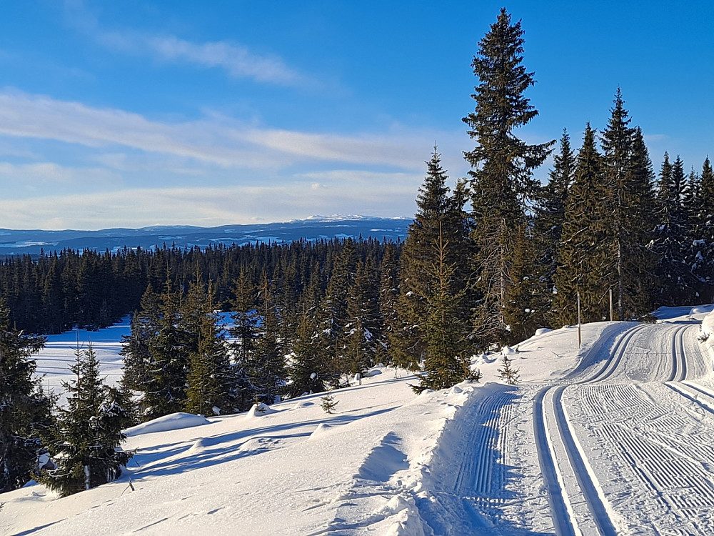 Ved Grøtåssetra, ser mot Synnfjellet