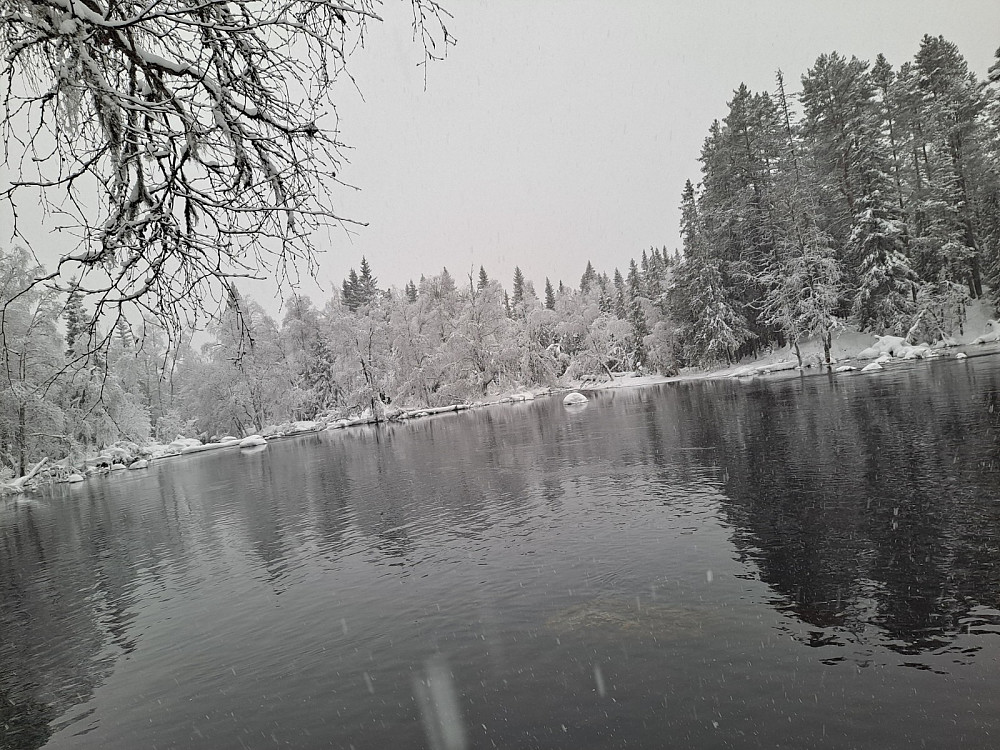 Ved Mesnasaga