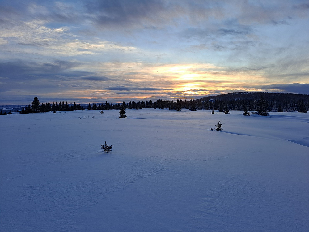 Tilbake på Nordseter