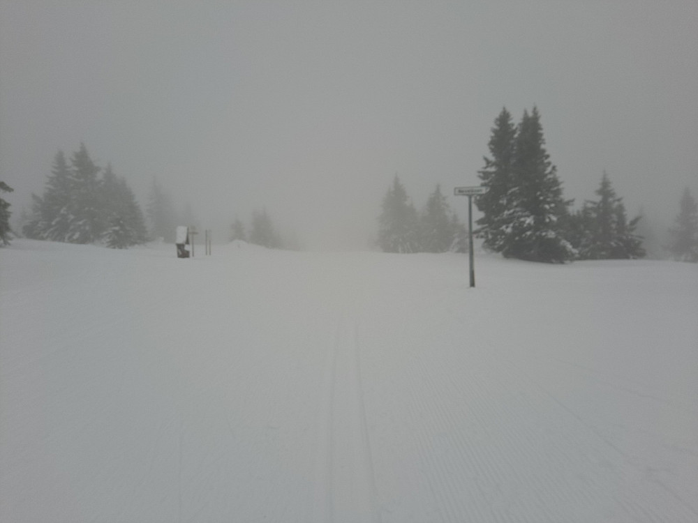 Tett tåke på Nevelåsen på tilbaketuren