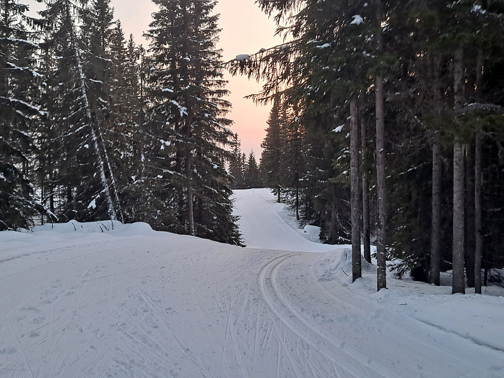 På Kanthaugen
