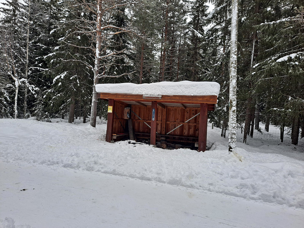 Ved Hammerkoia