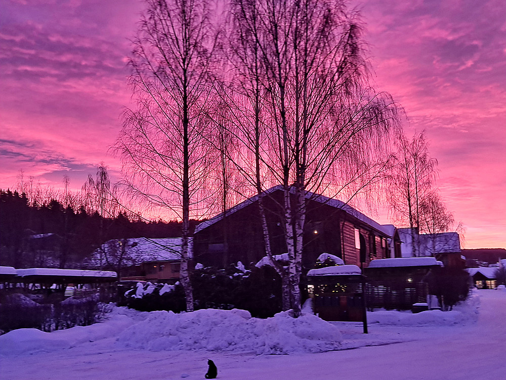Morgenstemning i Blestervegen