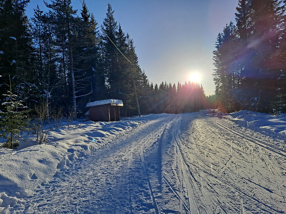 Ved Hammekoia