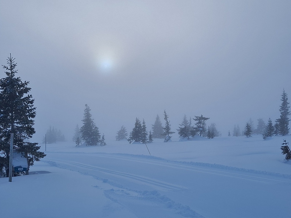 Ved løypekrysset Melsjøen, glimt av sol