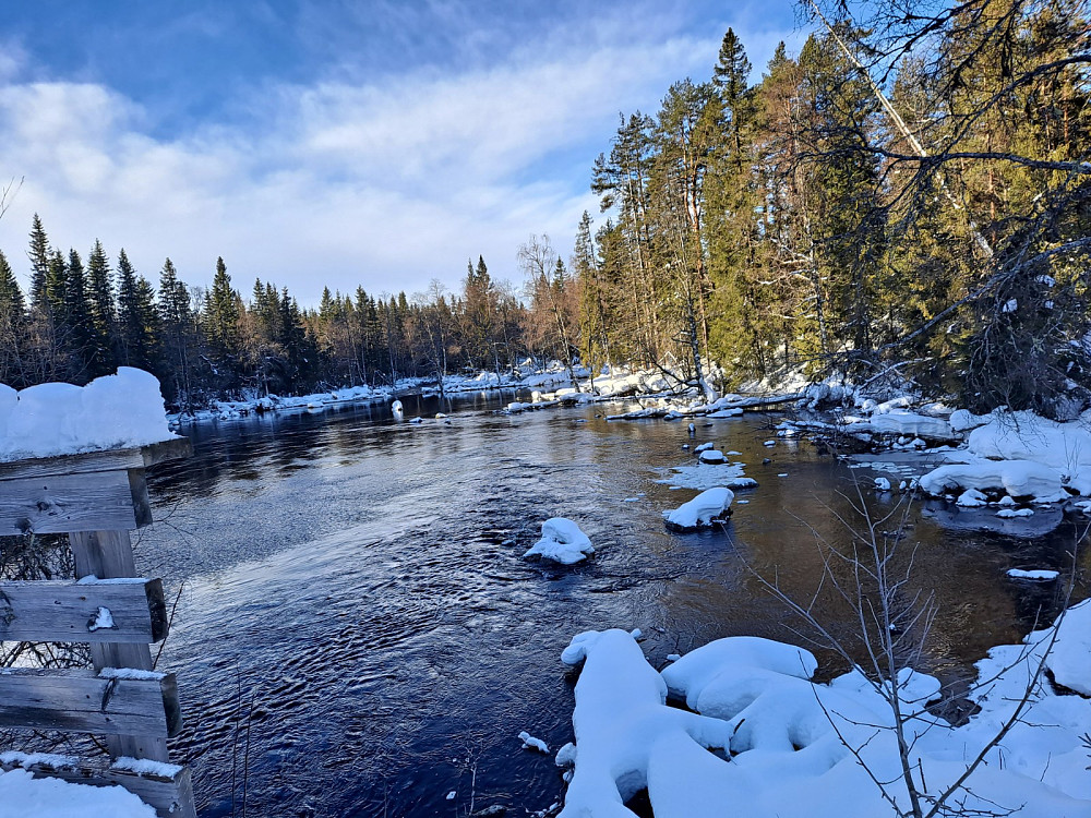 VedMesnasaga