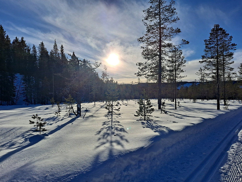 Mellom Mesnasaga og Sagmyra