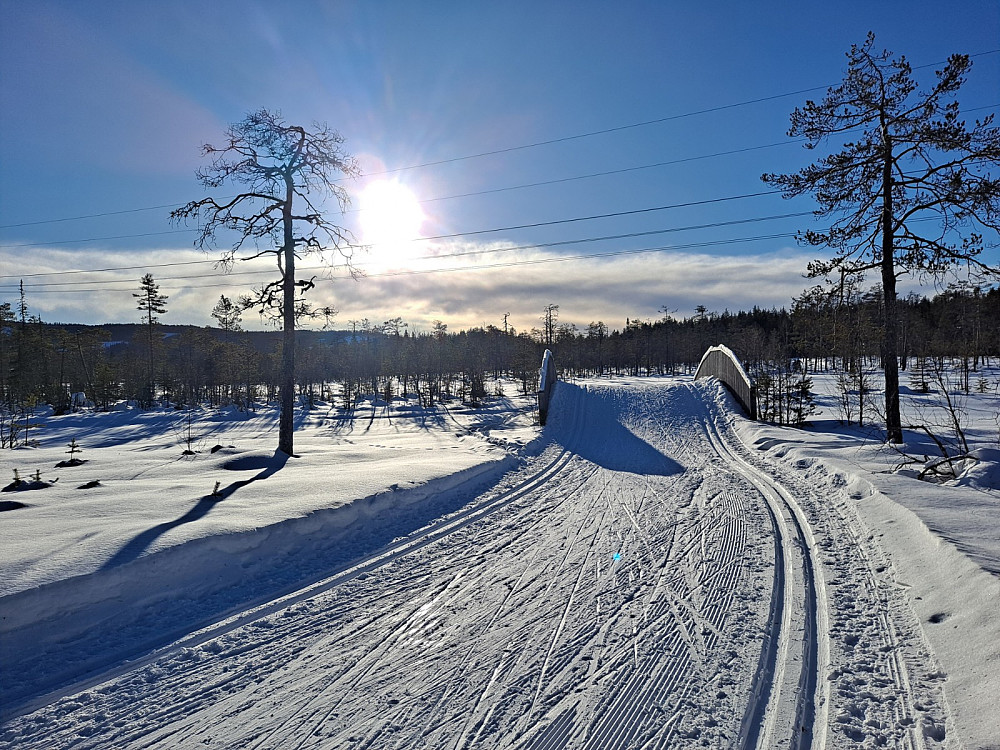 Ved Kubrua