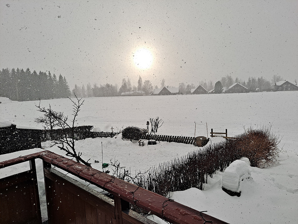 Hjemme igjen, kom en liten snøeling