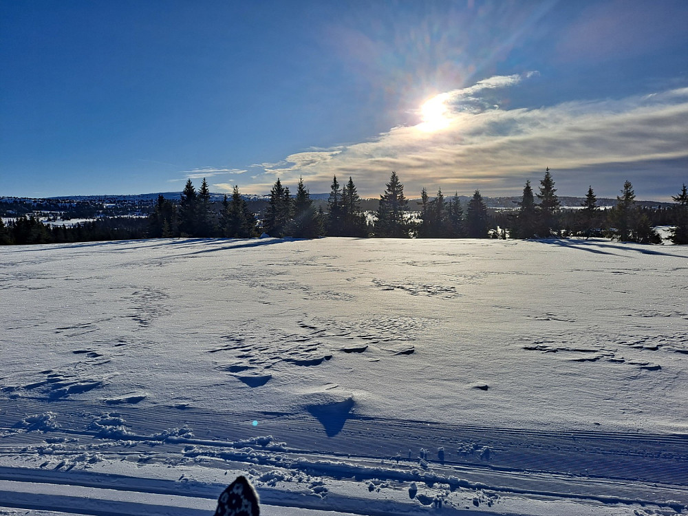 I Birkebeinerløypa