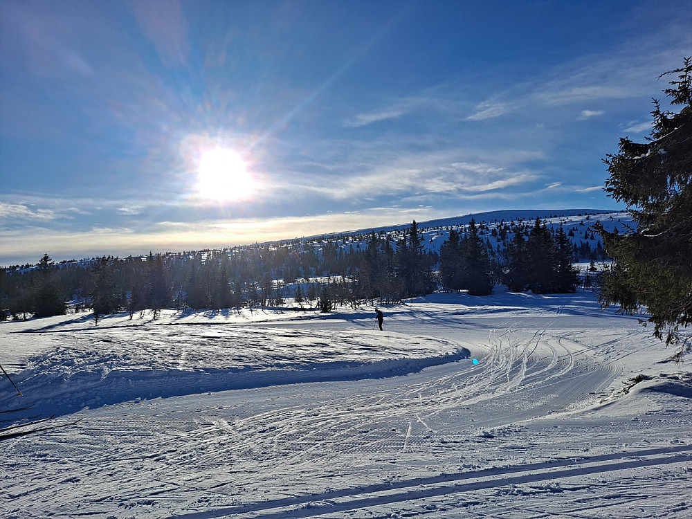 Ved Midtfjellkoia