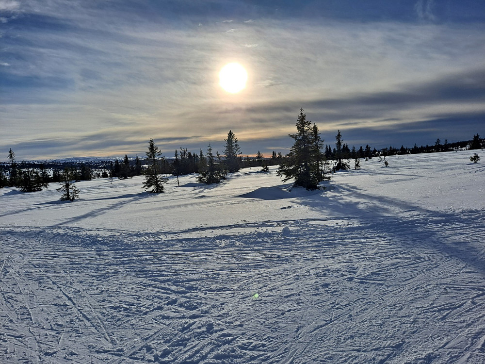 Ved løypekrysset Kuåsen sør