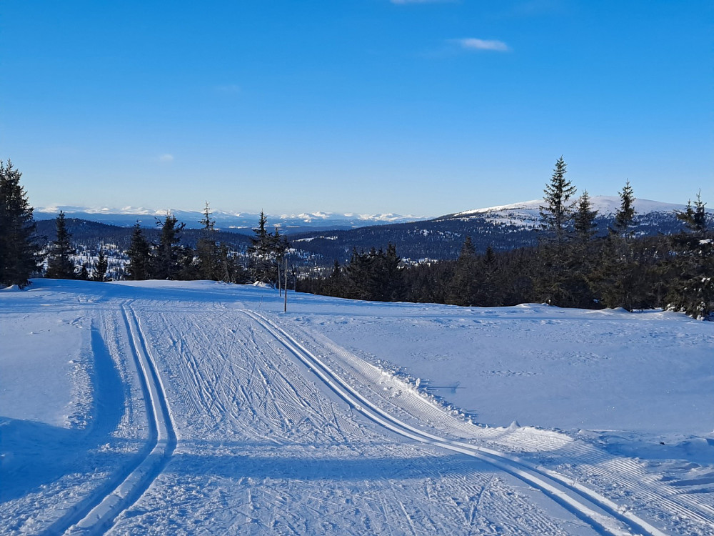 Ved Appelsinhaugen