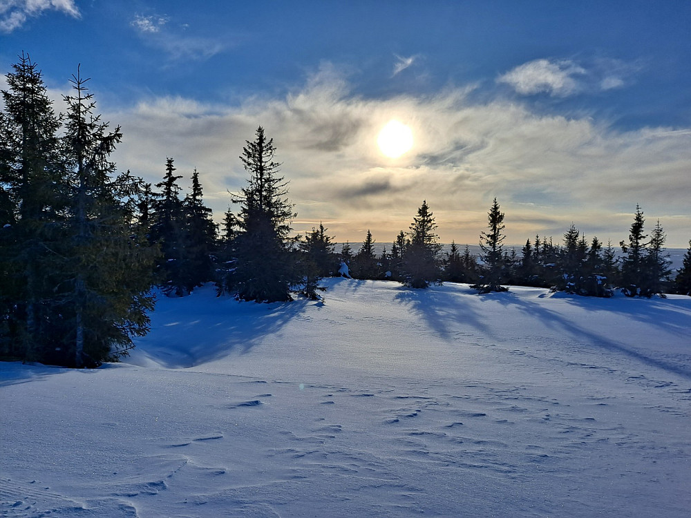 Ved Appelsinhaugen