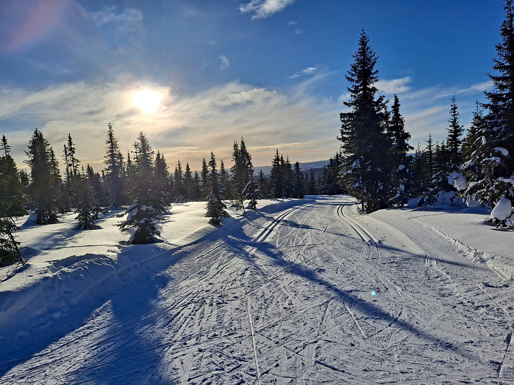 I Skogsløypa