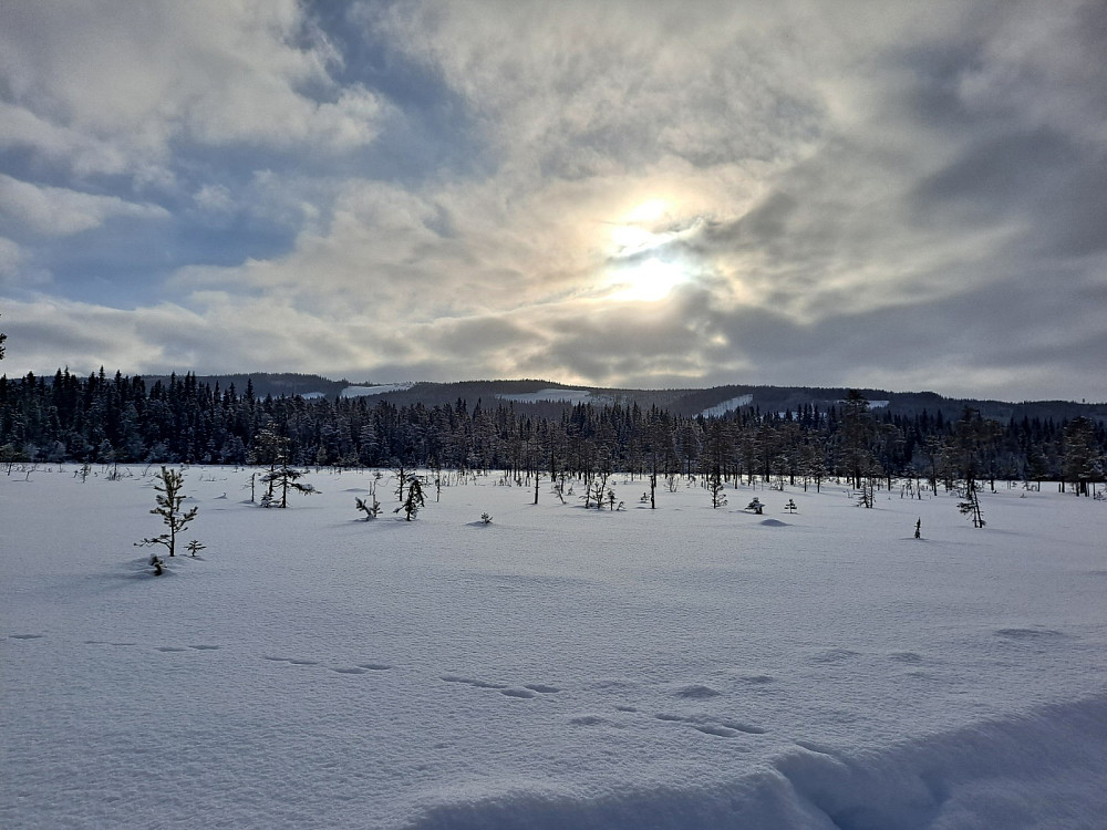 Ser sola på Stormyra