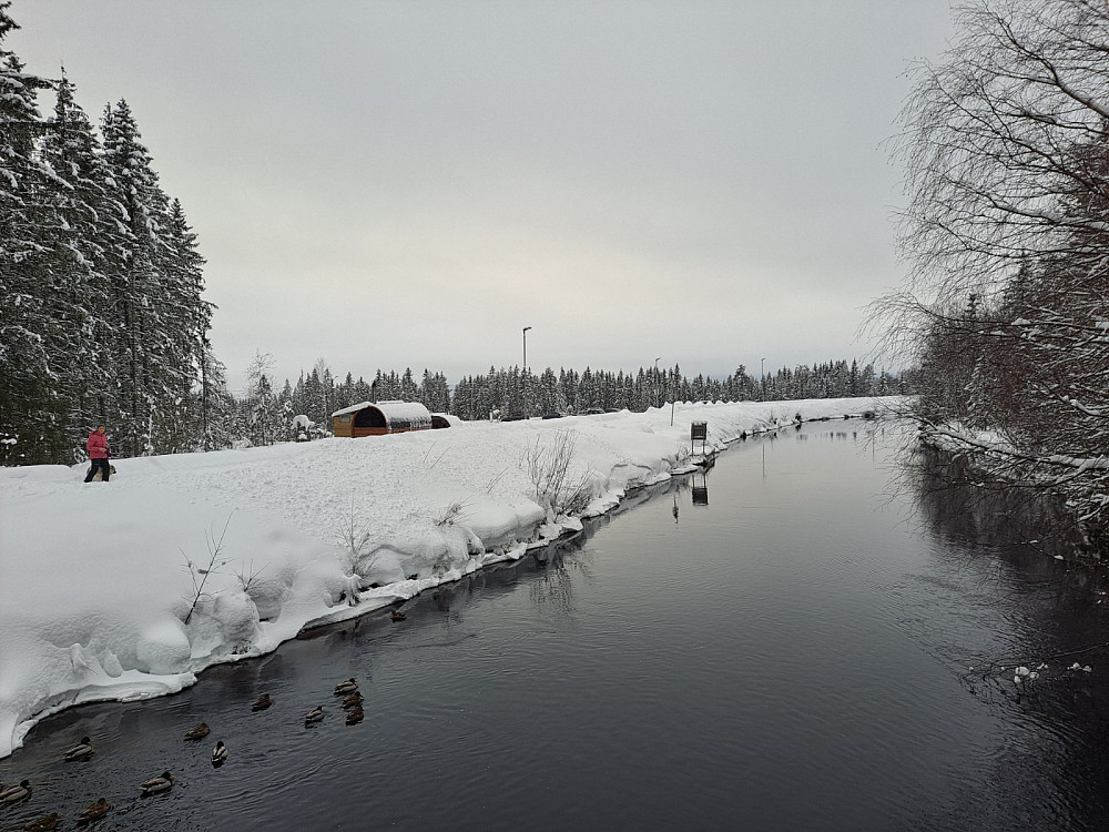 Tilbake ved Kanalen