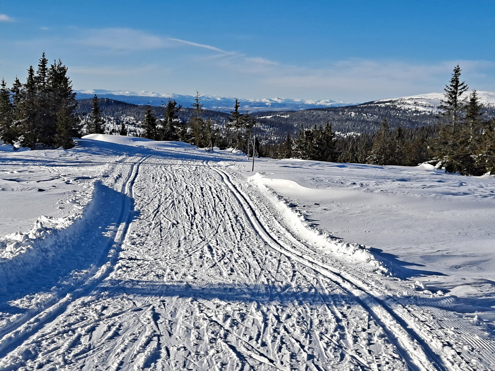 Ved Appelsinhaugen