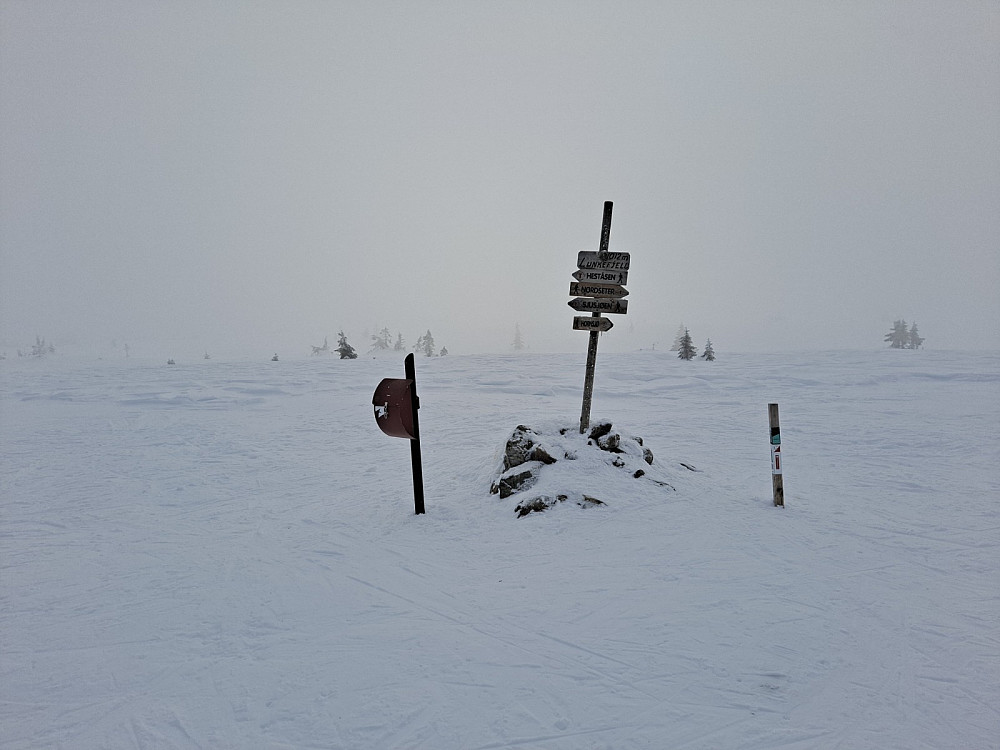 På Lunkefjell