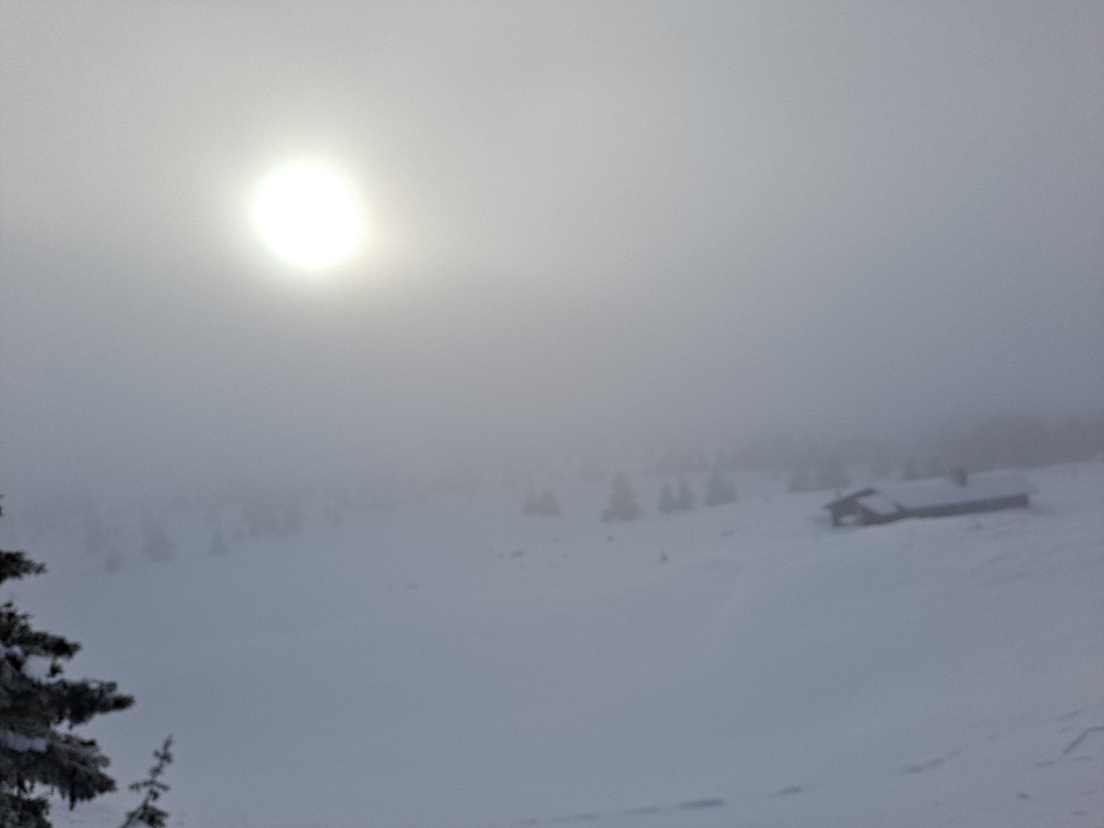 I løypa ved Løvisåsen