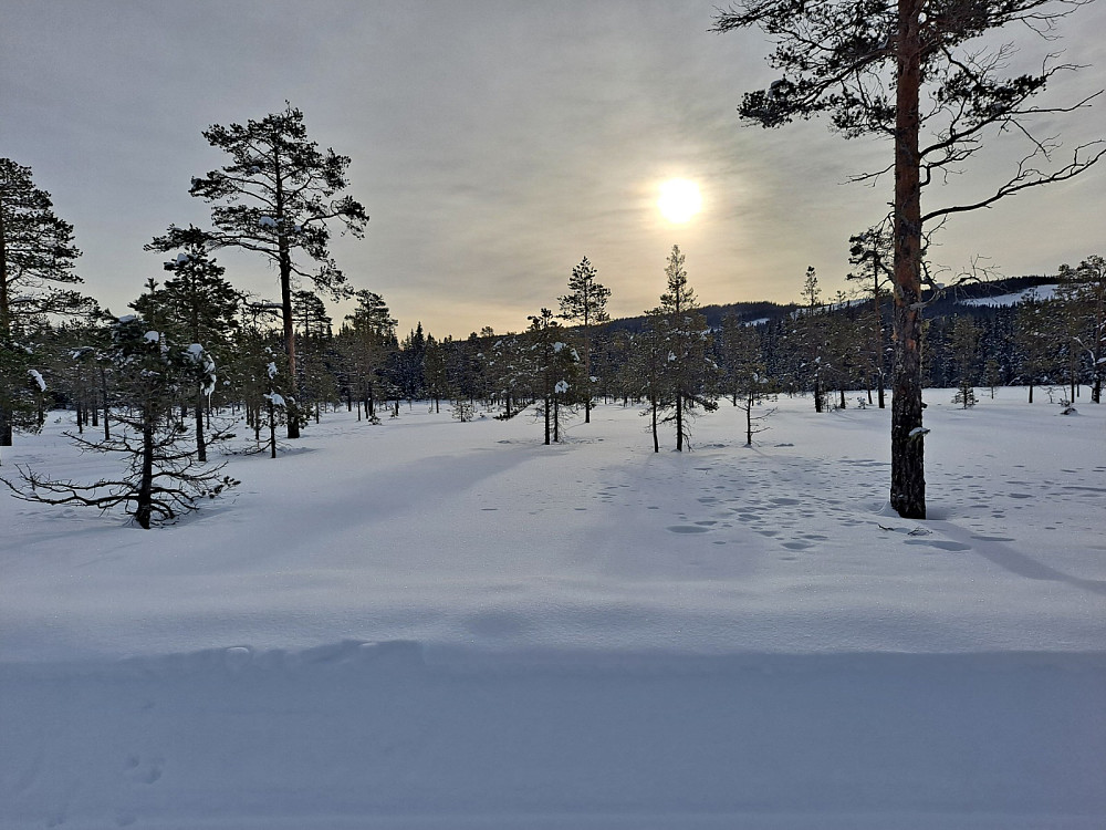 På Stormyra