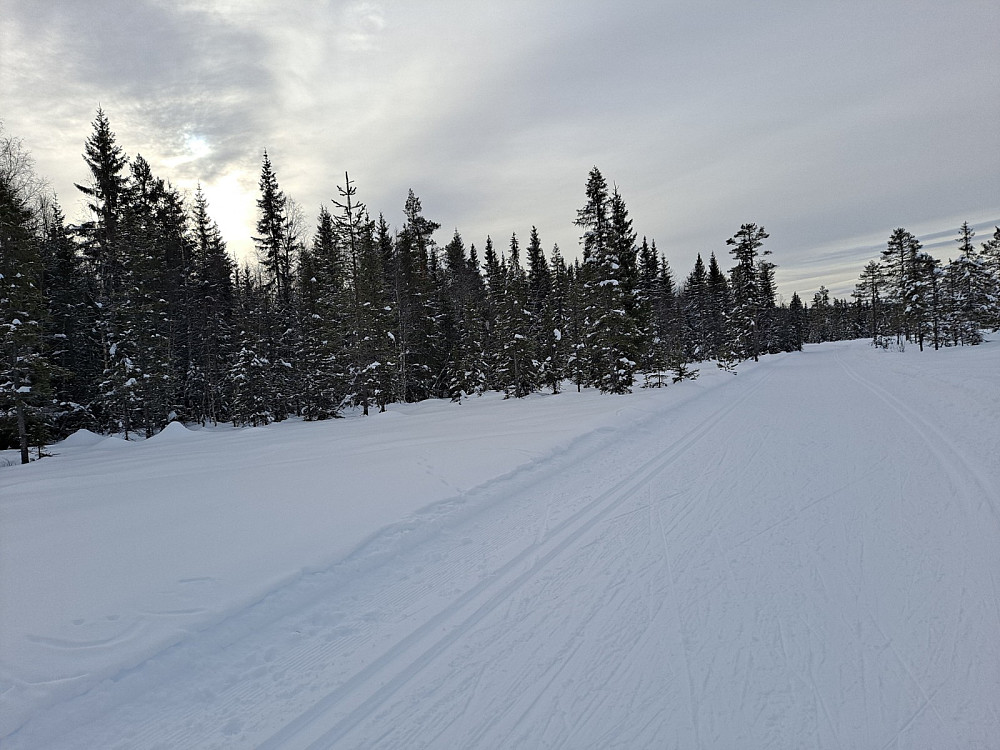 På Sagmyra